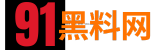 91黑料网